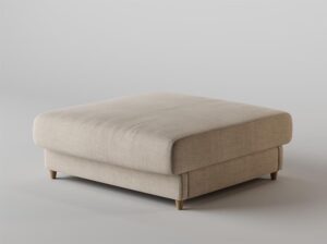 Pufa Ravioli Absynth