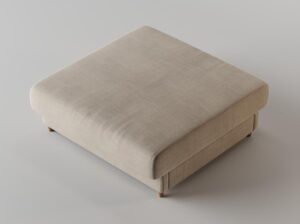 Pufa Ravioli Absynth